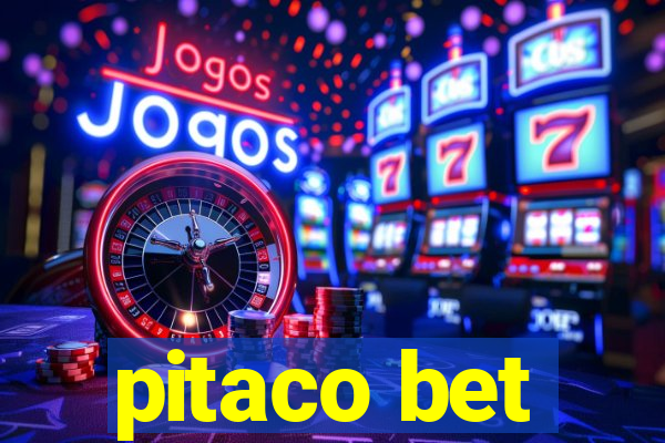 pitaco bet